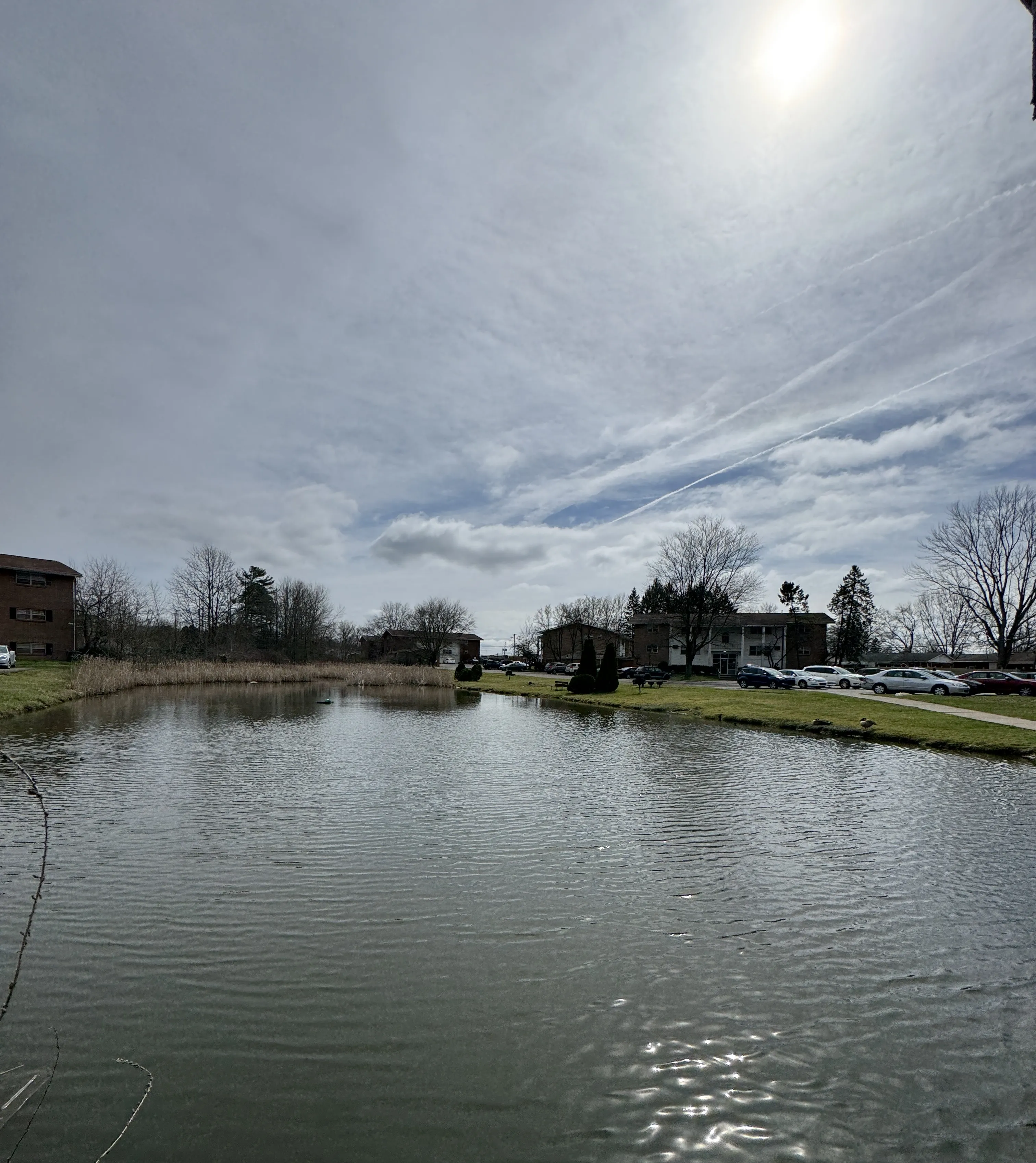 The pond and open lawn with the covered bridge at the far edge of the community.